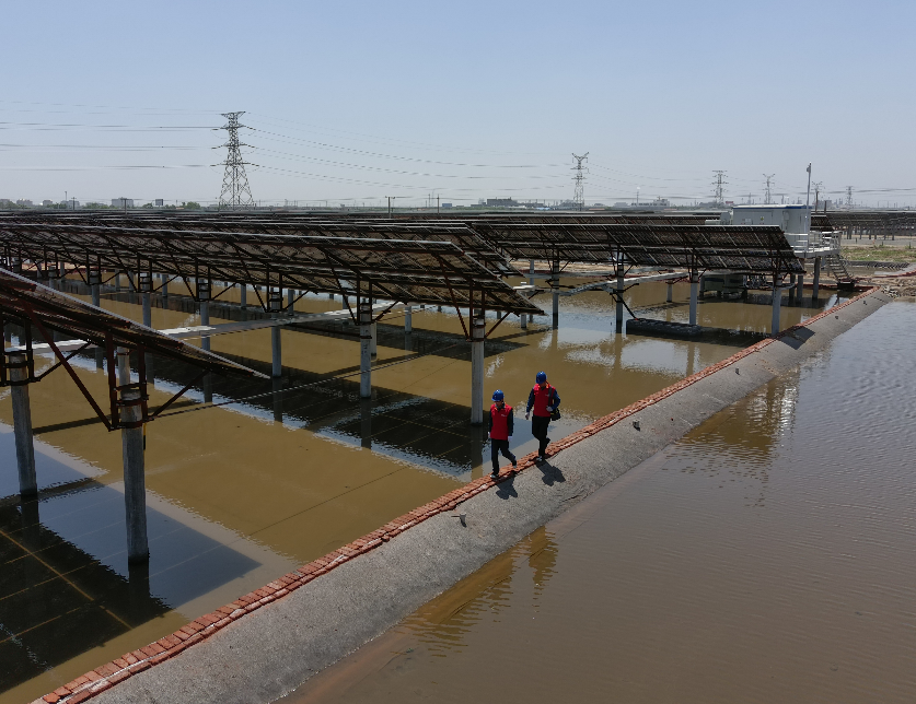 山东省电线电缆行业火博(中国)HUOBO官方网站