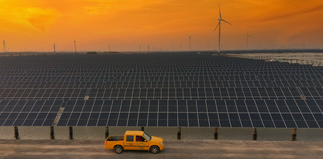 山东省电线电缆行业火博(中国)HUOBO官方网站