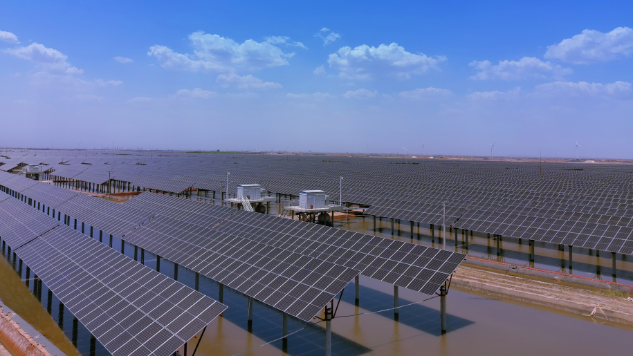 山东省电线电缆行业火博(中国)HUOBO官方网站